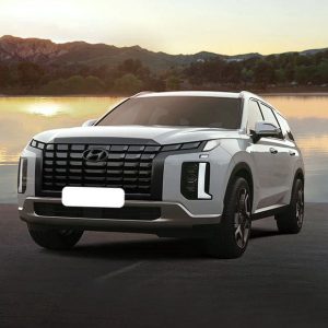 hyundai-palisade-front-angle-low-view-981557