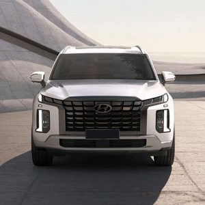 hyundai-palisade-full-front-view-383945