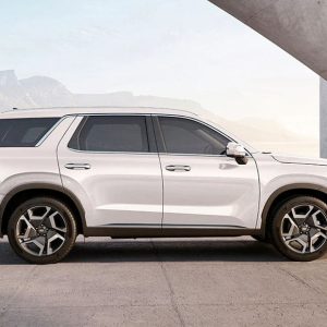 hyundai-palisade-side-view-559439