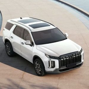 hyundai-palisade-top-view-929954